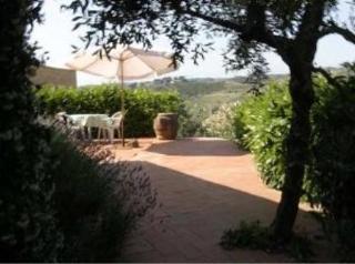 Agriturismo Bio Fattoria Bacio Certaldo Exteriör bild